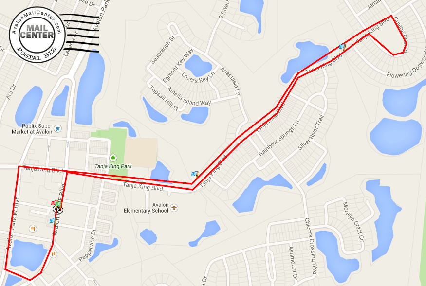 Avalon Park Turkey Trot 2019 Avalon Park Mail Center UPS, FedEx